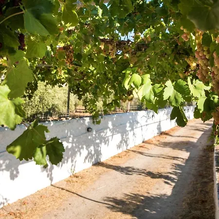 House With One Bedroom In Kalymnos With Wonderful Mountain View Enclosed Garden And Wifi 2 Km From The Beach