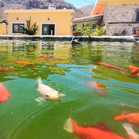 House With One Bedroom In Kalymnos With Wonderful Mountain View Enclosed Garden And Wifi 2 Km From The Beach Case de vacanță *